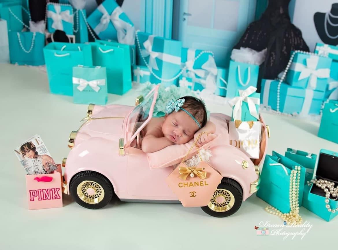 PINK newborn jogger + bags