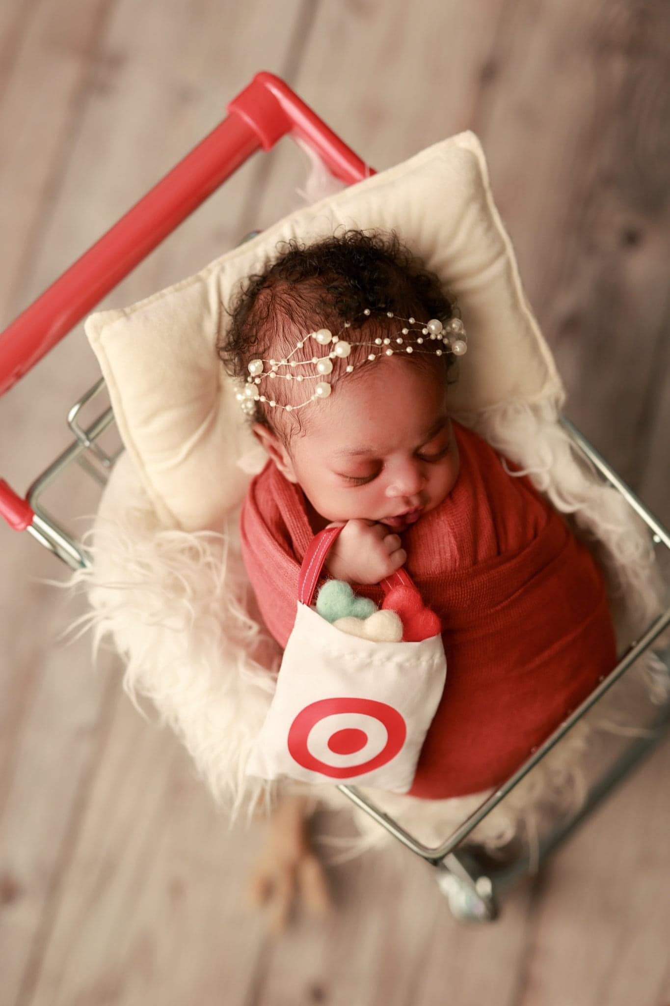 Target Shopping Bags