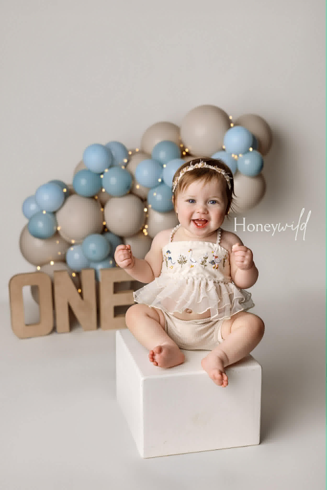 Newborn Or 6-12 Mo Silly Goose, dress, and party hat
