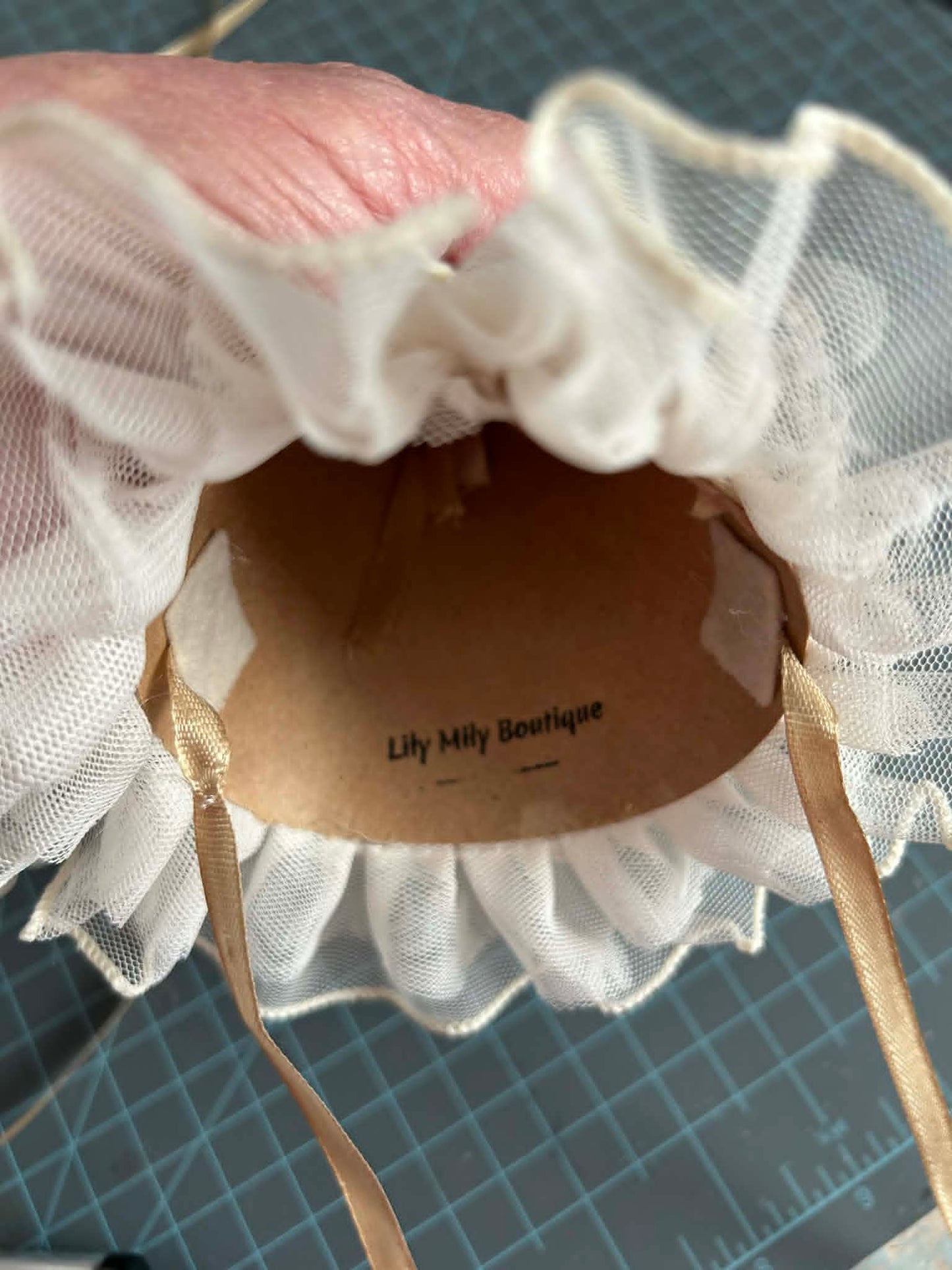 Newborn Or 6-12 Mo Silly Goose, dress, and party hat